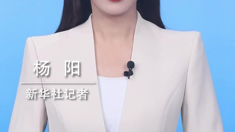 企业数字化转型中的动态图表数据可视化之道